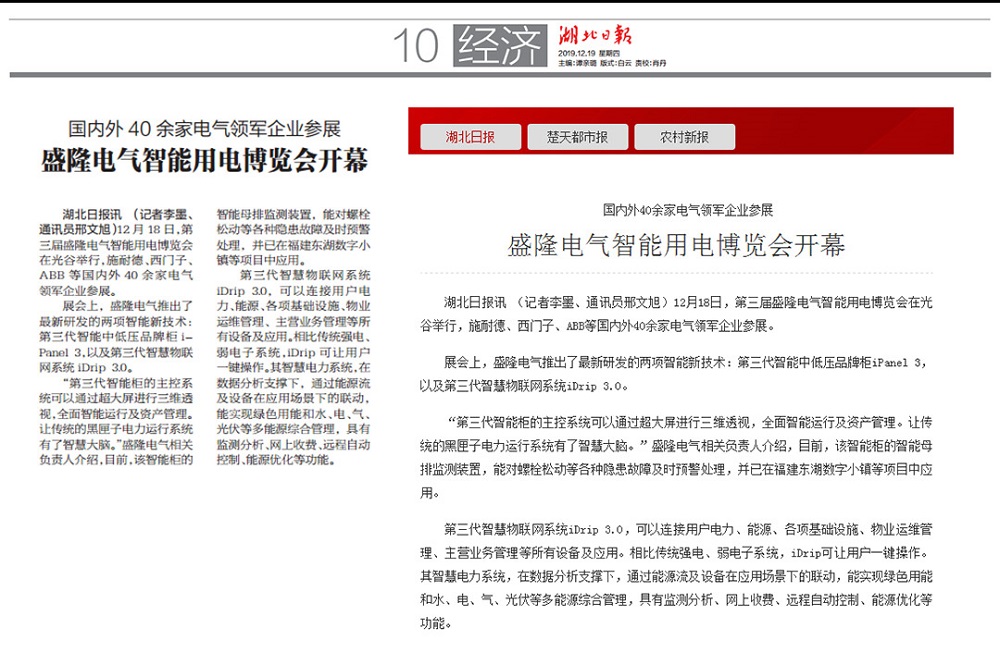 湖北日?qǐng)?bào).jpg